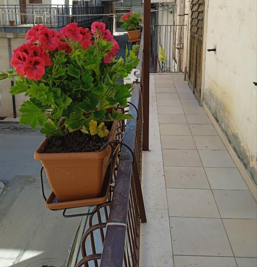 B&B La Casa Dell'Ospite Gravina in Puglia Zewnętrze zdjęcie